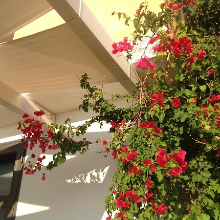 Albablu Apartment *